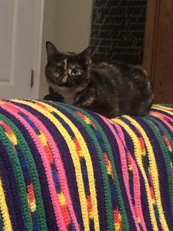 I’m Marceline I love my new home! ❤️