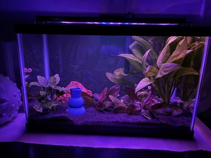 tank with night lighting