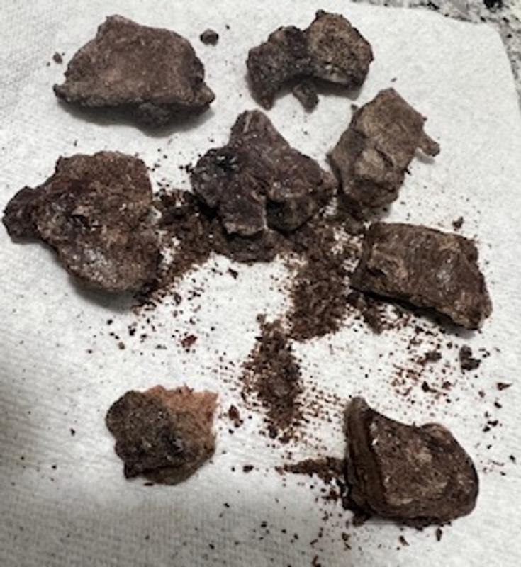 Rina, Dylan & Asa, and Antelope Liver