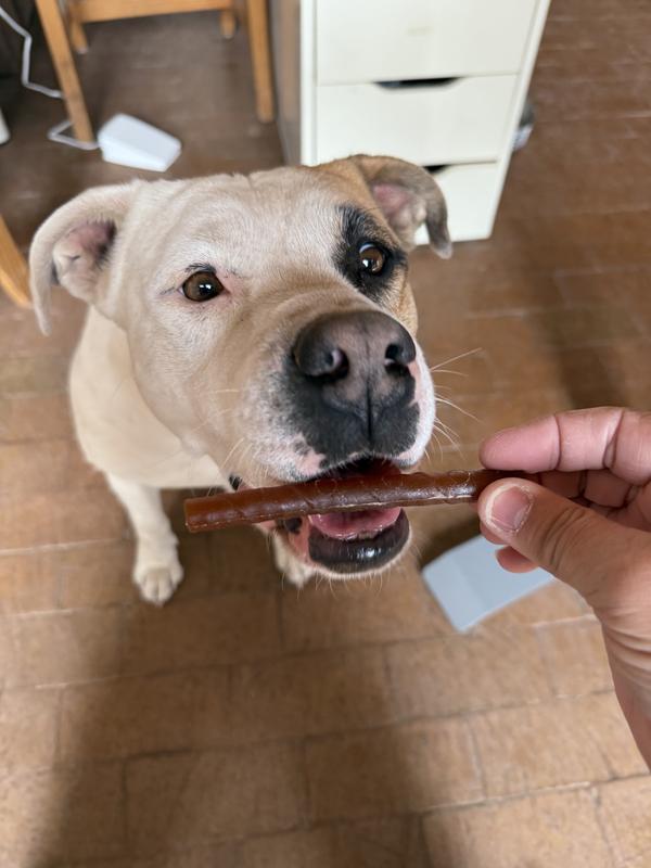 Patiently waiting my favorite snack!