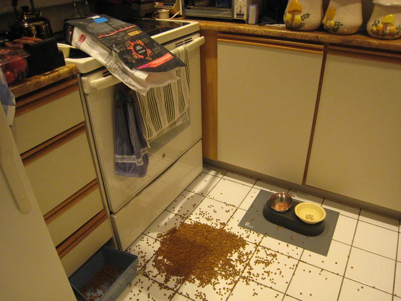 Sophie's mess