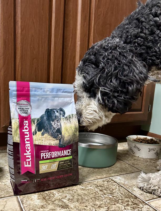 Bernie checking out her new favorite food.