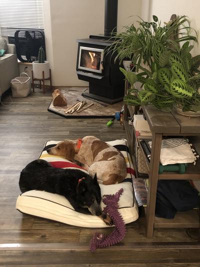 Dallas and Saul Goodman