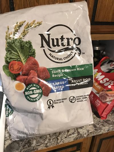 Nutro natural choice large breed lamb and outlet rice