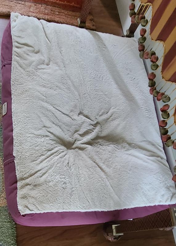 Stuffing too soft, doesn't support my dog
