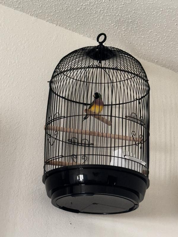 Little Saturn loves his new home