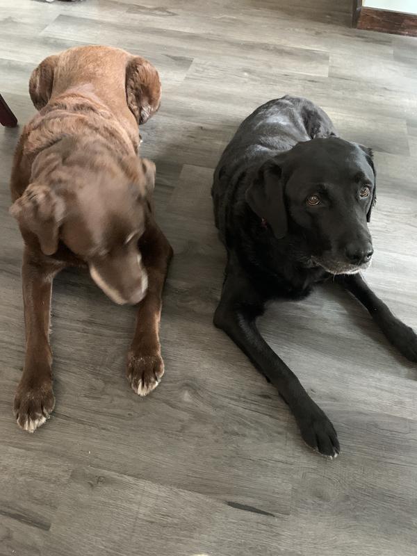 Waiting for our dinner