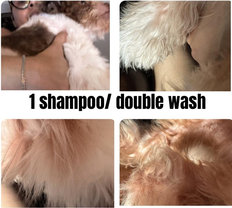 1st shampoo; double wash