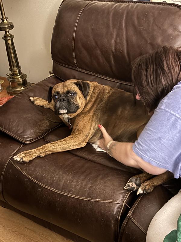 She smells good, scratches less, and the pink shade of skin is going away. Yay!