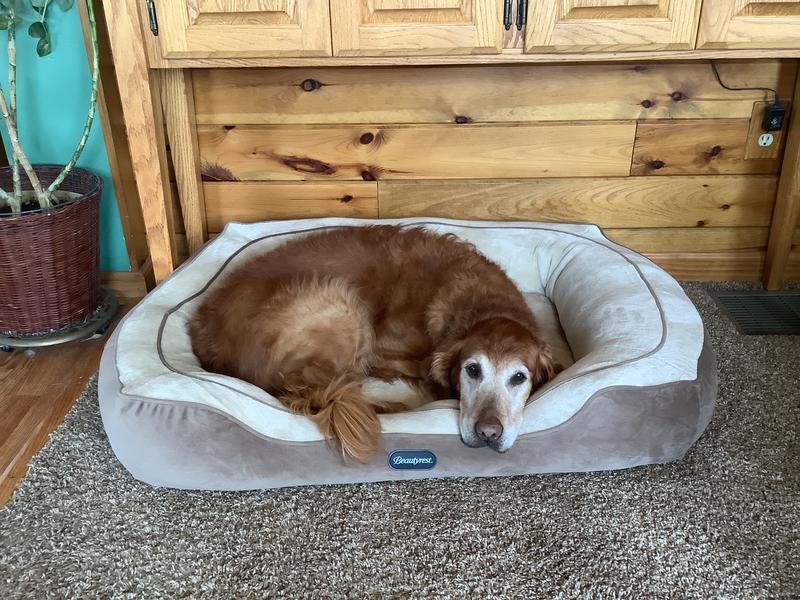 Temporarily Unavailable BEAUTYREST Cozy Cuddler Dog & Cat Bed, Gray