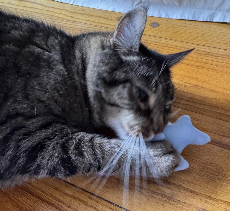 Chasey not willing to share this one!