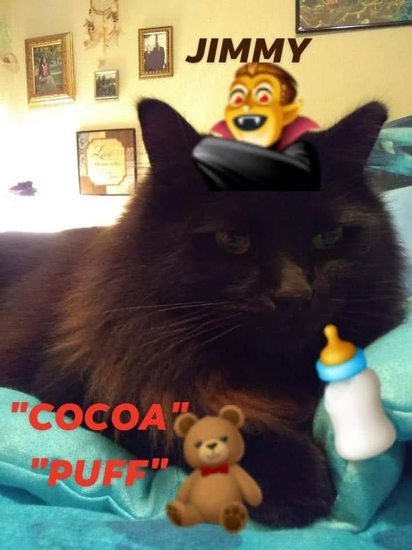 Jimmy Cocoa Puff