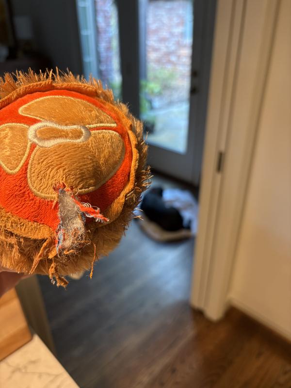 Sad ending to a happy idea