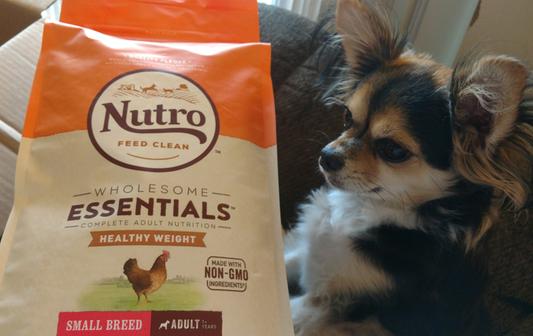 Nutro wholesome essentials healthy weight small breed best sale