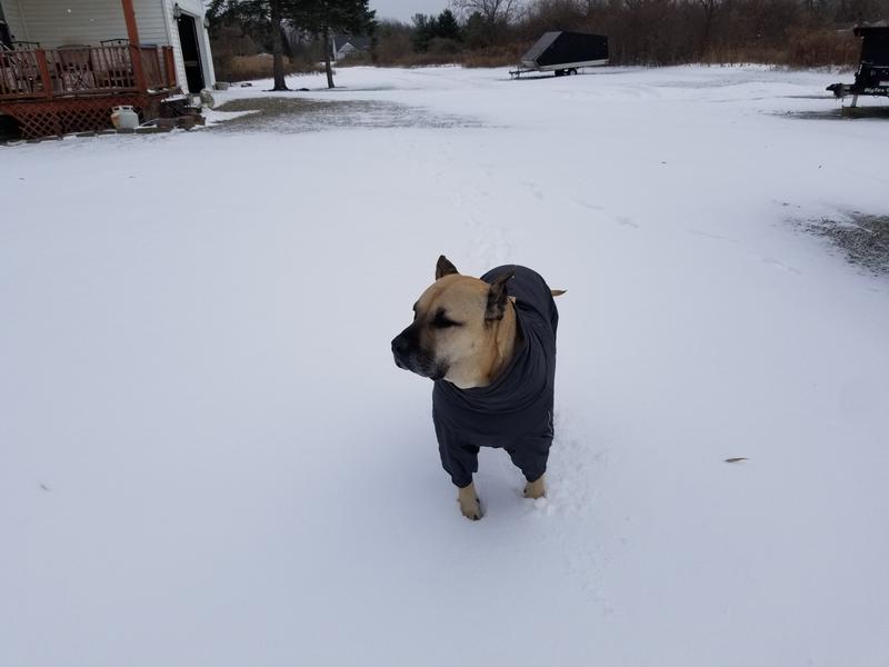 Hurtta Extreme Overall Insulated Dog Snowsuit, Blackberry