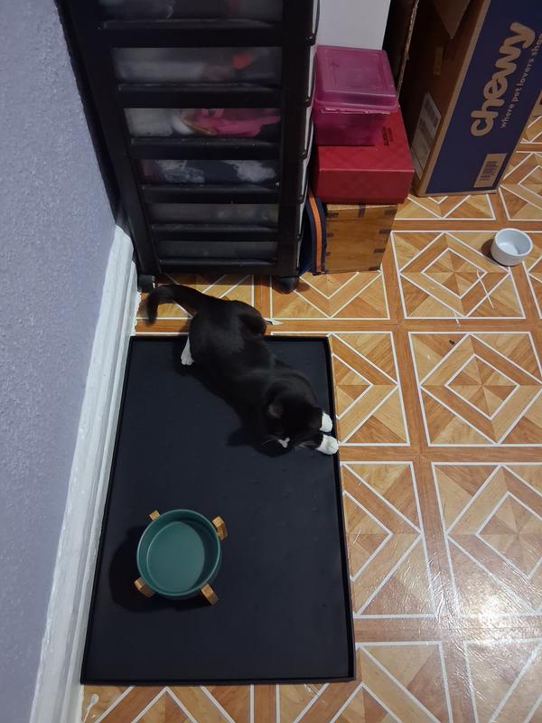 not my cat eating but he likes the mat !!