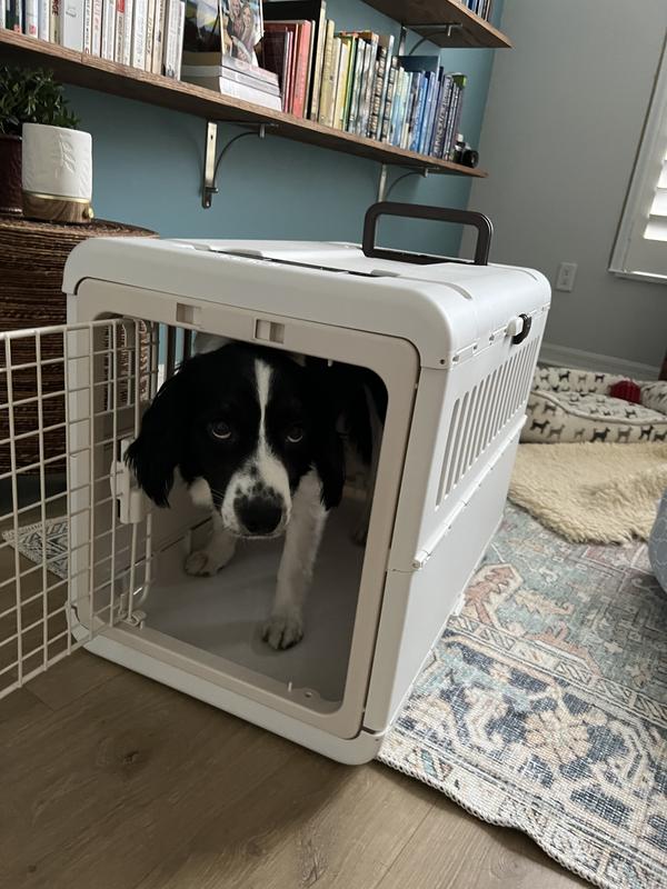 RICHELL Foldable Dog & Cat Carrier, White & Beige, Small