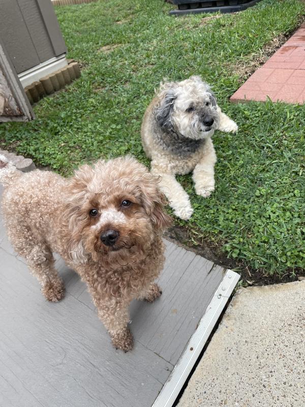 The 5 and 16 year old