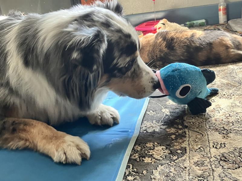 The moment he realized Claude was hiding something.