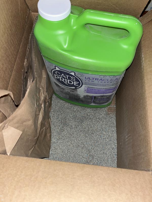 How would you describe this is the question