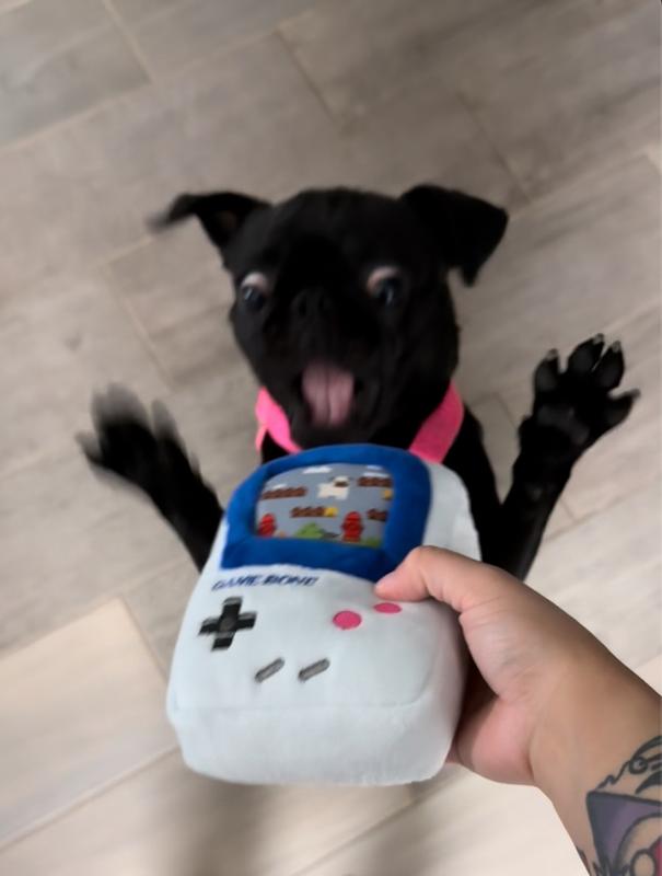 Sushi was immediately enthusiastic