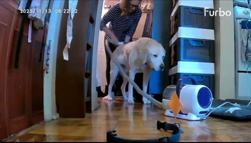 Oneisall grooming as seen on our Furbo