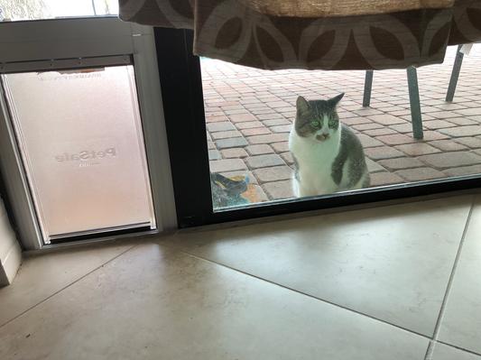I like my door!