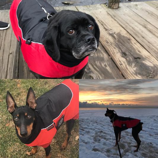 Ultra paws comfort outlet coat