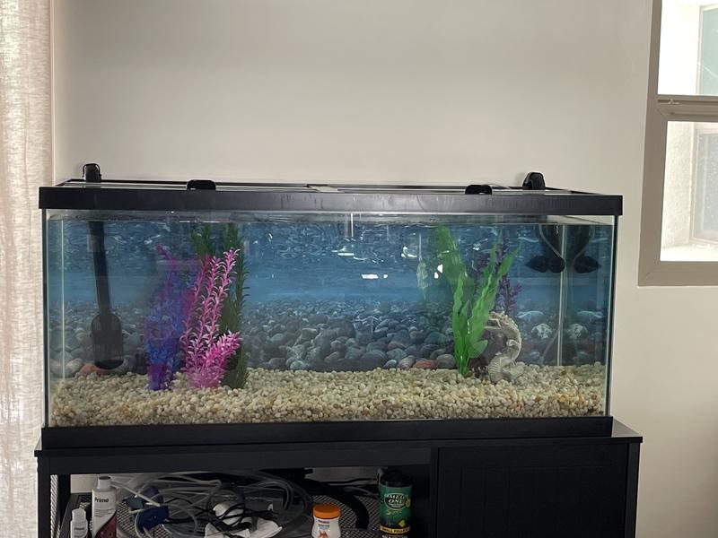 New colorful plants on the left, whew - color