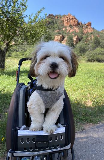 Strolling @ Sedona slide 1 of 2