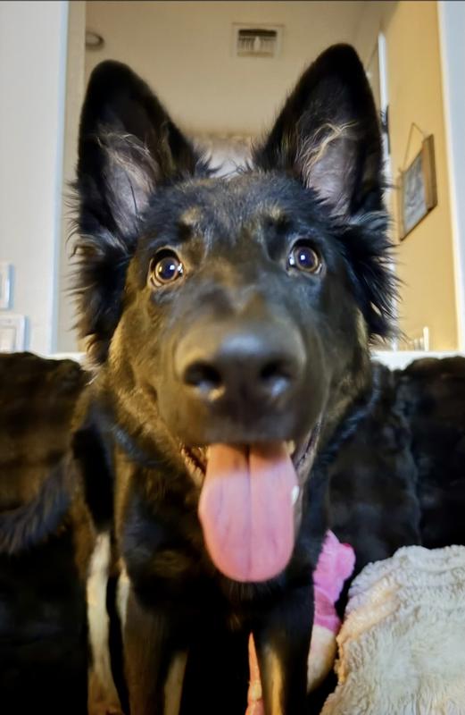 Look at her perfectly moisturized snout!