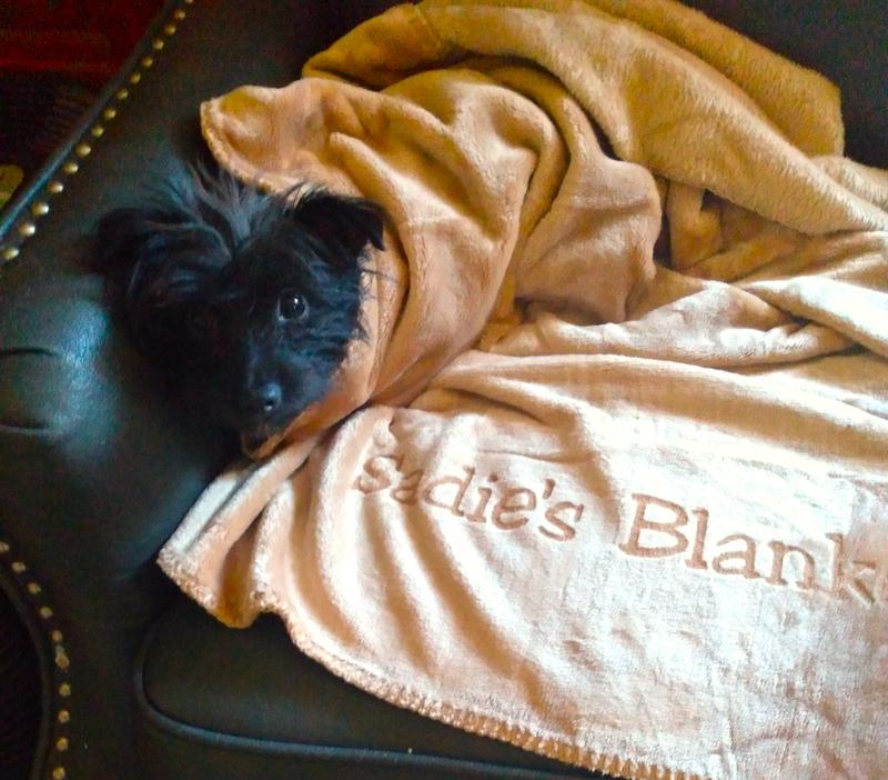 Sadie with her new blanket my sister bought for her.