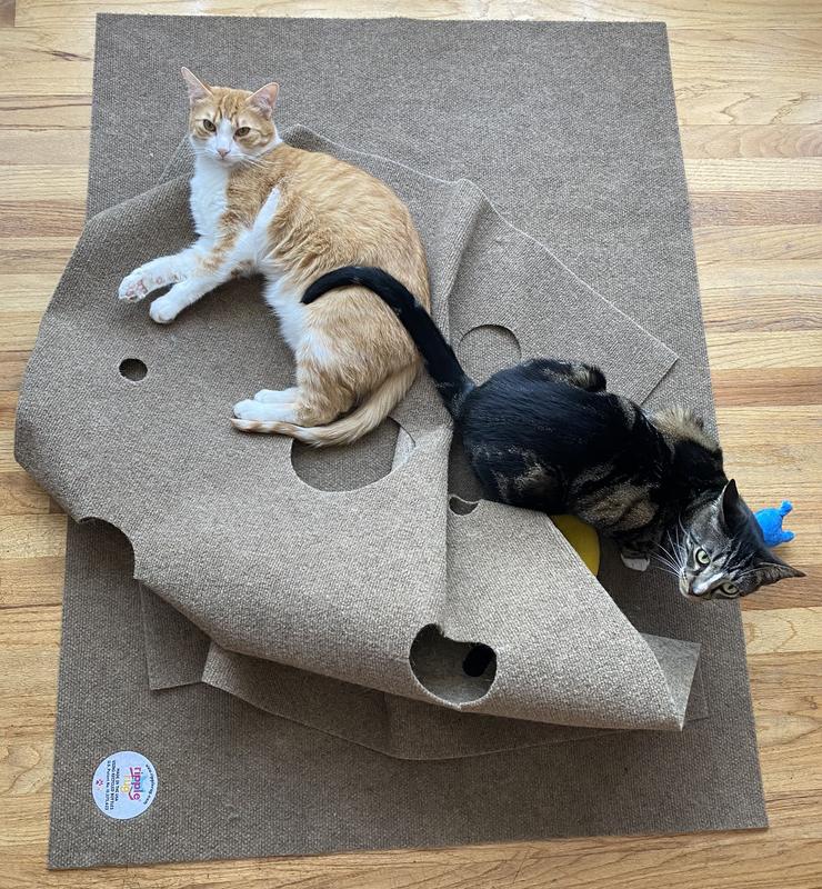 SNUGGLYCAT Ripple Rug Cat Activity Play Mat