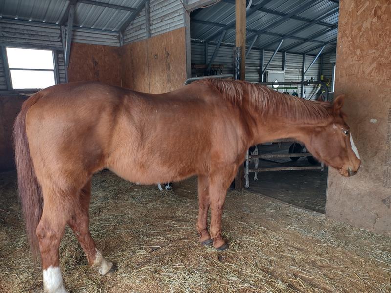 Before with low topline