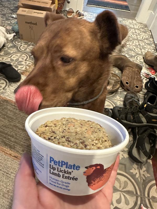 Raleigh was excited for dinner