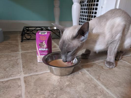 Whiskas cat milk clearance calories