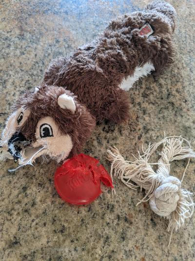 Kong clearance squirrel toy