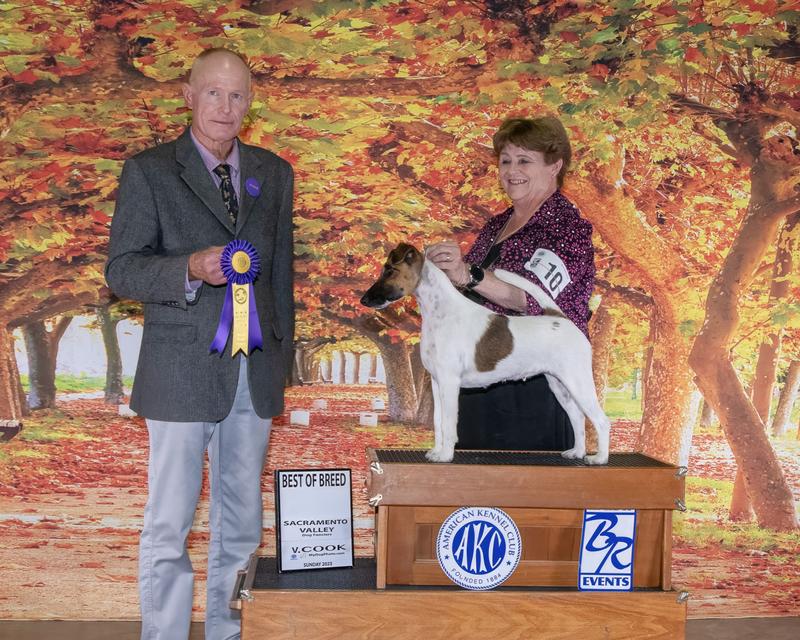 Callie eats Evolve, you can see how well it works for her!