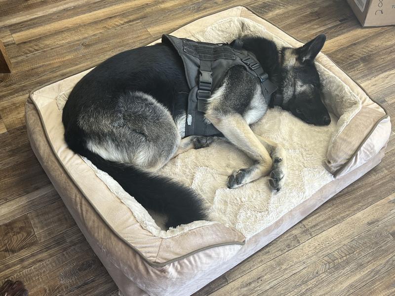 FurHaven Velvet Waves Perfect Comfort Orthopedic Sofa Cat & Dog Bed