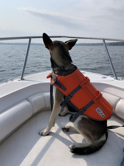 OUTWARD HOUND Granby RipStop Dog Life Jacket, X-Large Bright Orange 