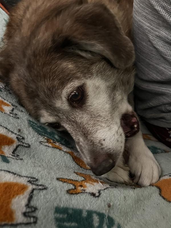 Chewing chewing chewing!!!