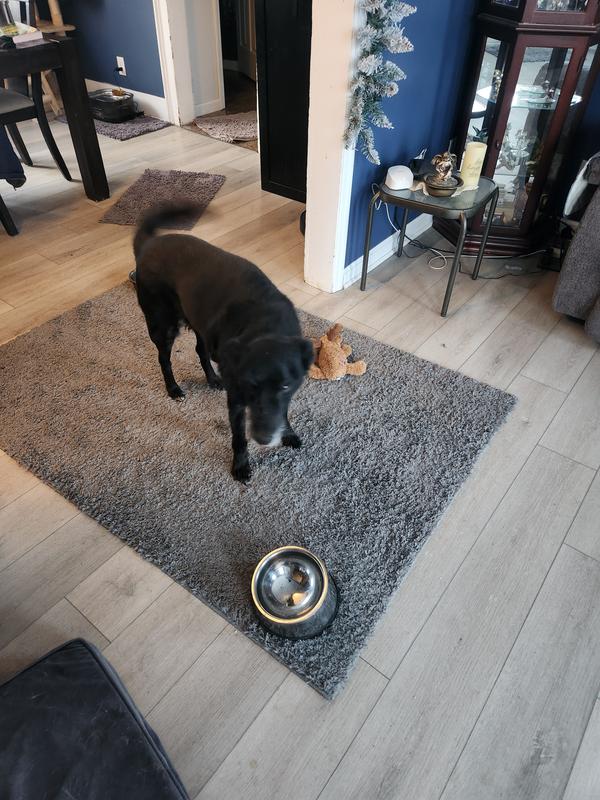 Clean bowl happy boy = happy momma