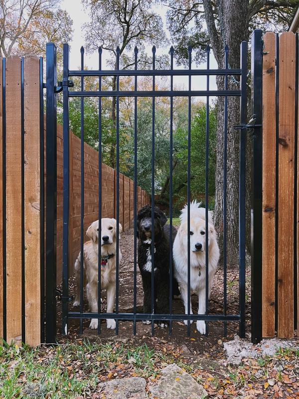 The three musketeers