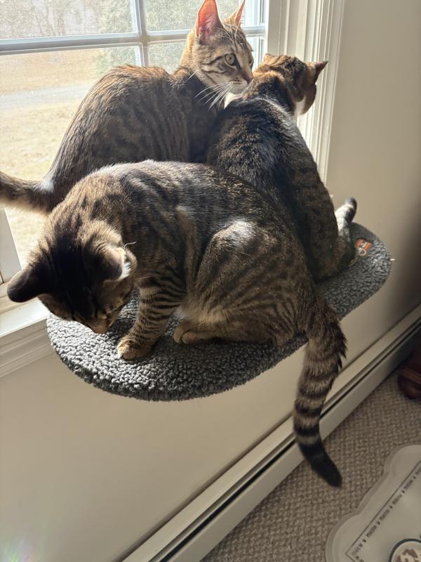 3/4 fitting on it…very stable