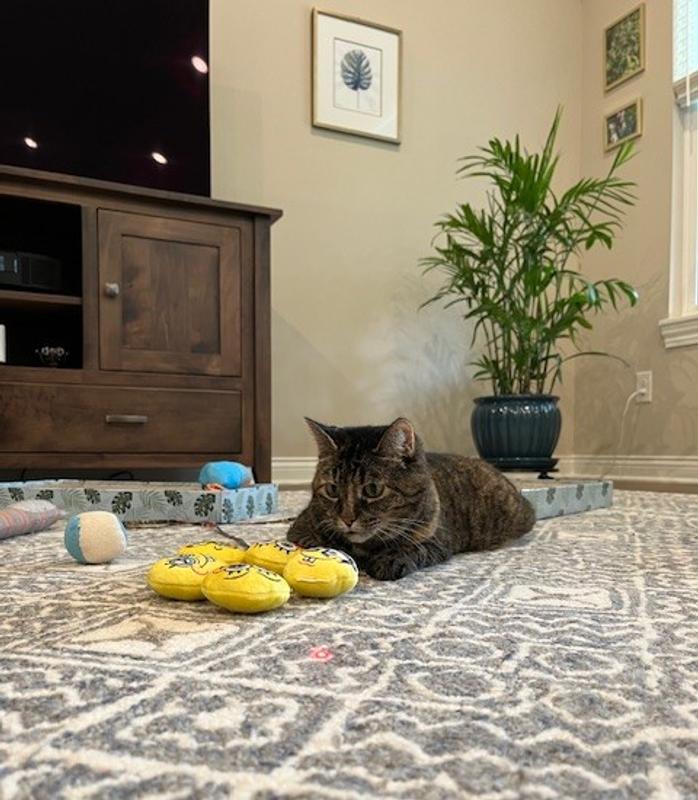 Yoda and the Plush Faces