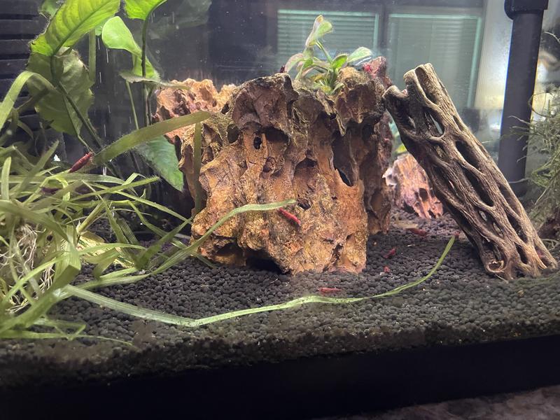 Hear the hum of the air pump.