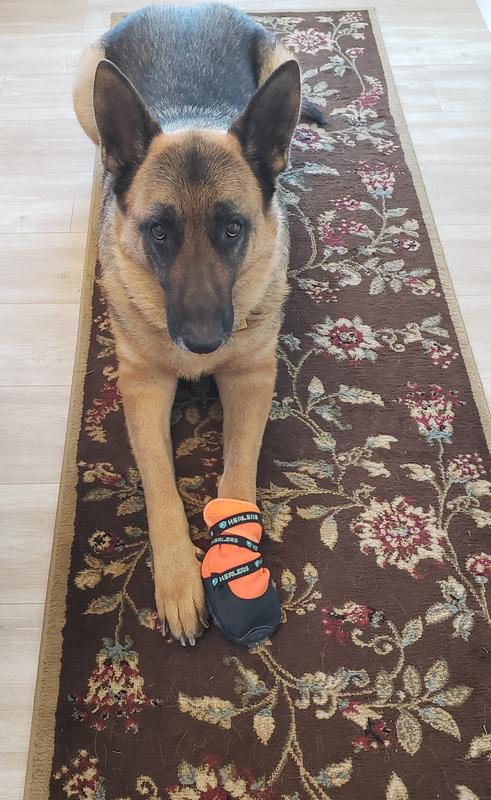 Cooper wearing left bootie