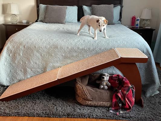 Dog ramp for sales bedside