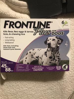 Frontline plus for clearance cats expiration date