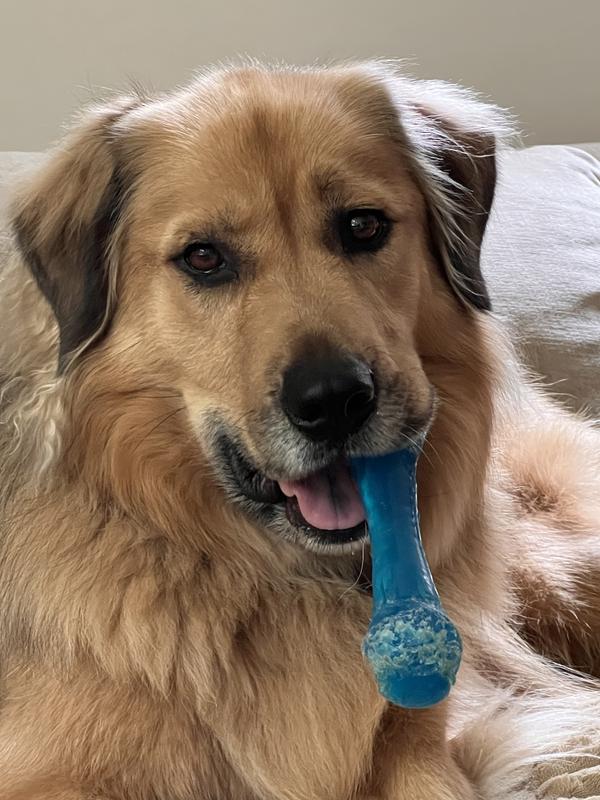 Leo and his favorite toy!